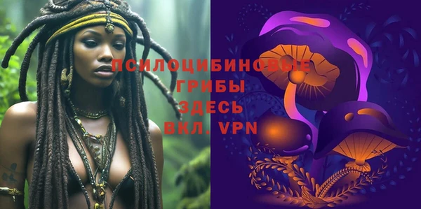 гидра Белокуриха