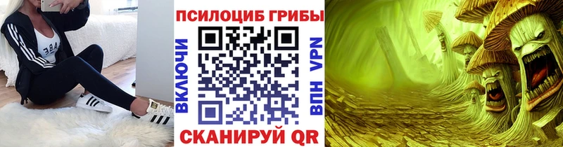 Купить  Топки  Галлюциногенные грибы Cubensis 